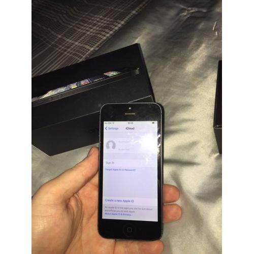 iPhone 5