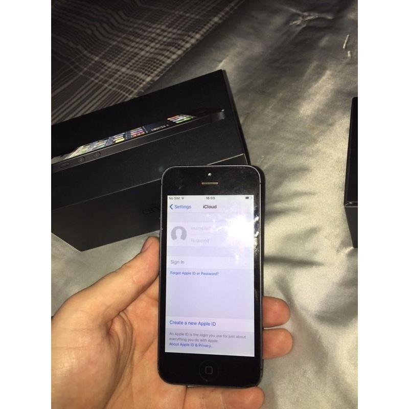 iPhone 5