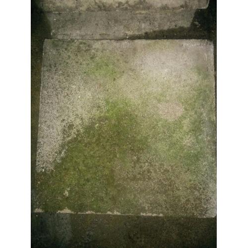 Up to 50 Paving Slabs