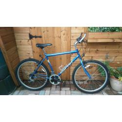 Gents Bicycle