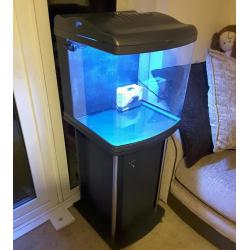 Fish tank - aquarium