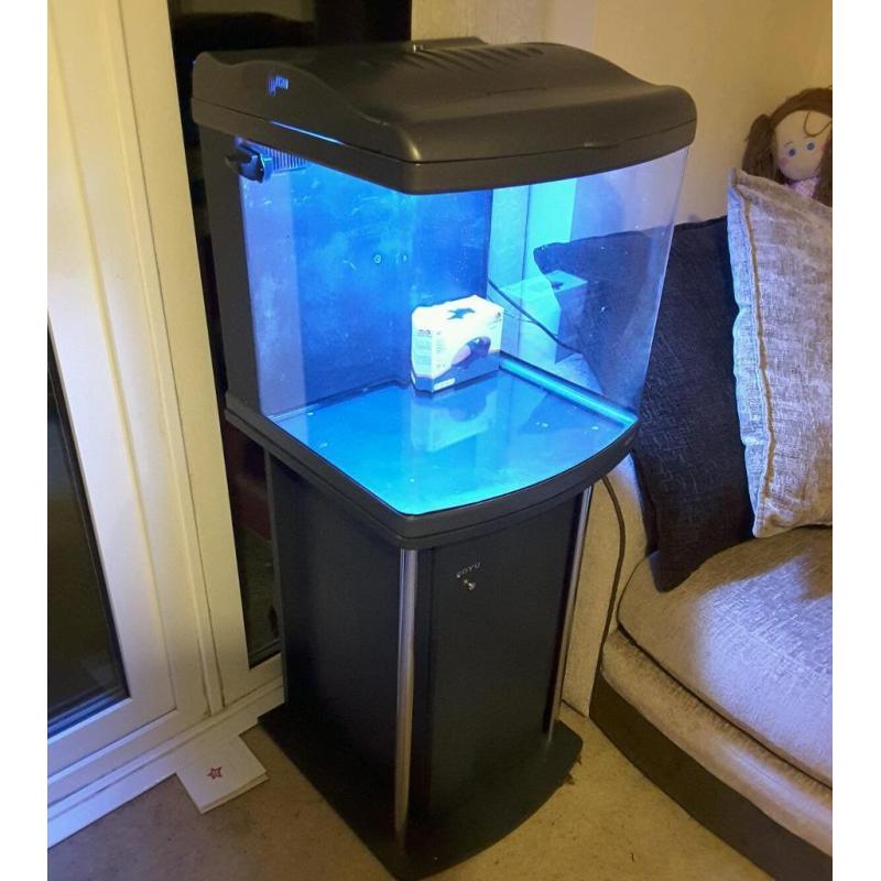 Fish tank - aquarium
