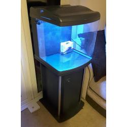 Fish tank - aquarium