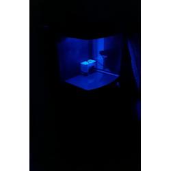 Fish tank - aquarium