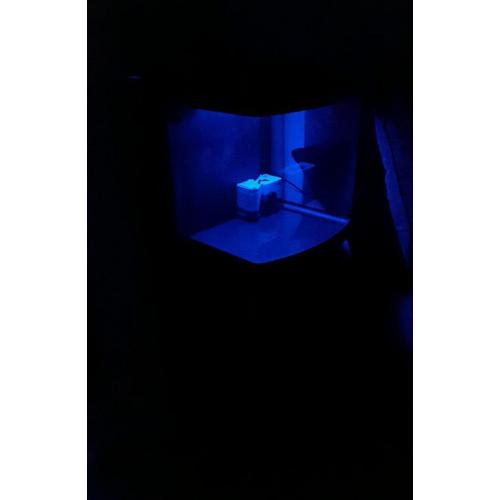 Fish tank - aquarium
