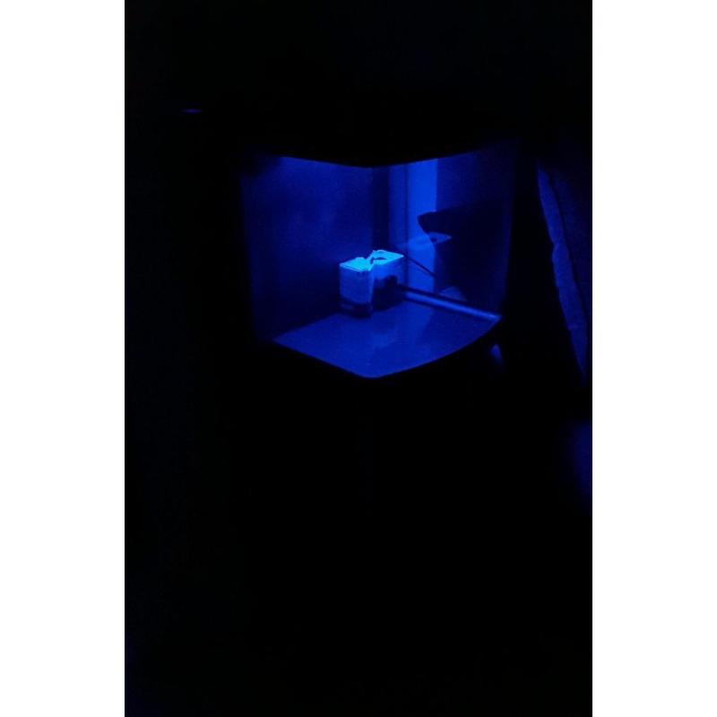 Fish tank - aquarium