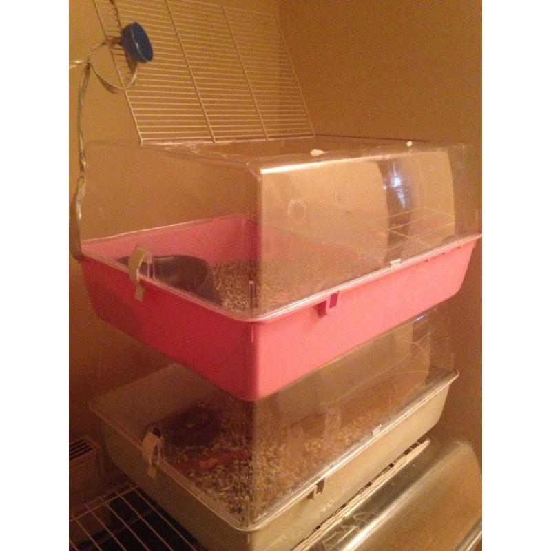 Hamster / Mouse / Baby rat tank