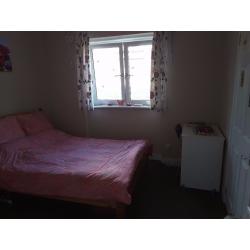 Double room to let