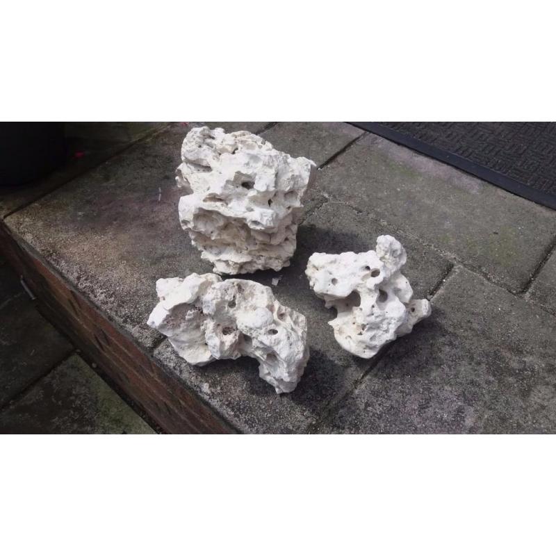 Live coral rocks for fish tank