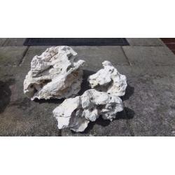 Live coral rocks for fish tank