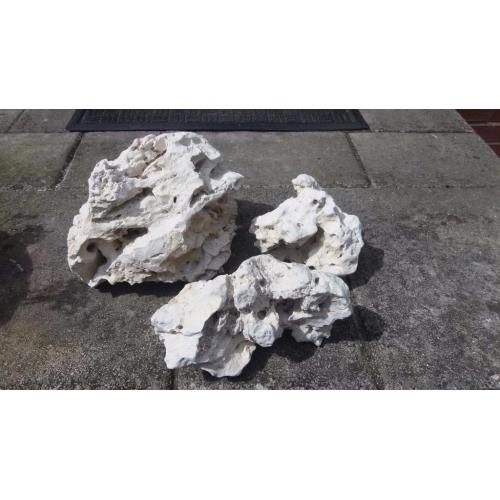 Live coral rocks for fish tank