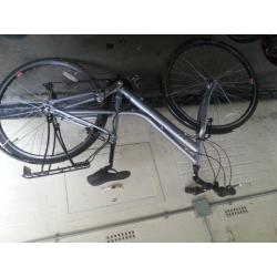 women's Raleigh pioneer mountain bike