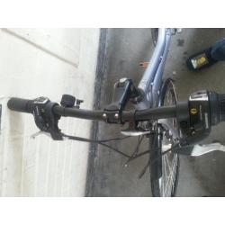women's Raleigh pioneer mountain bike