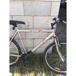 Mountain bike