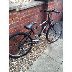NEED GONE ASAP bike