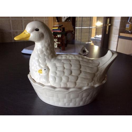 Duck egg basket/container