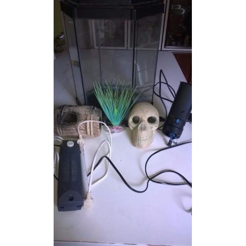Tall hexagon fish tank