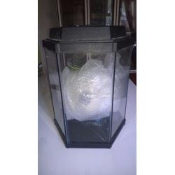 Tall hexagon fish tank