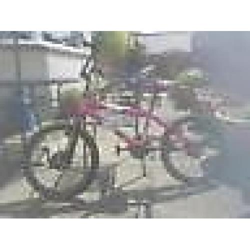 girls bmx bike