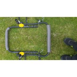 Cycle carrier for a car