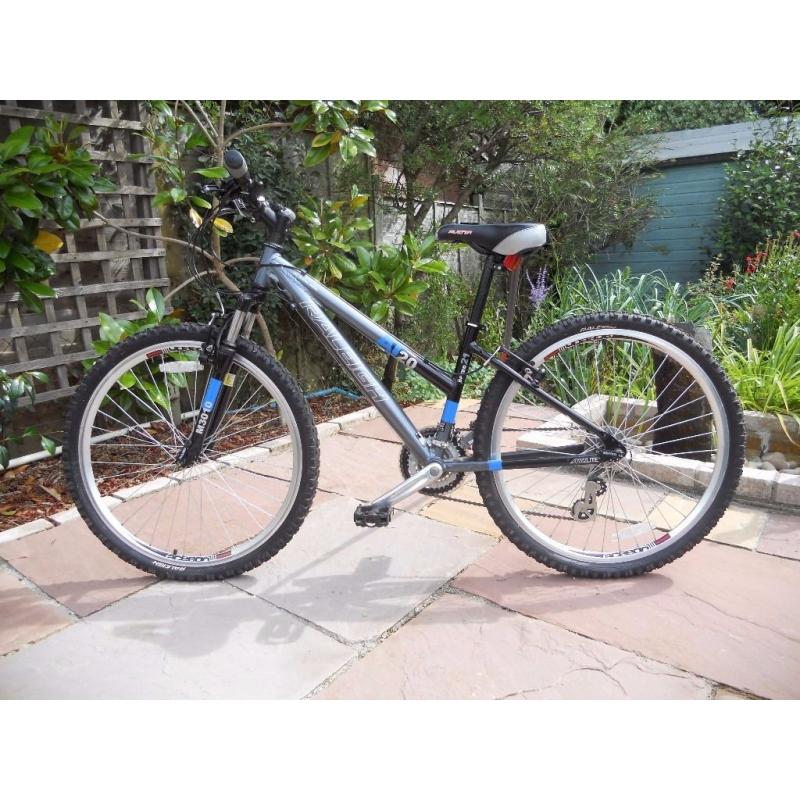 Ladies Raleigh Bicycle AT20