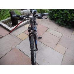 Ladies Raleigh Bicycle AT20