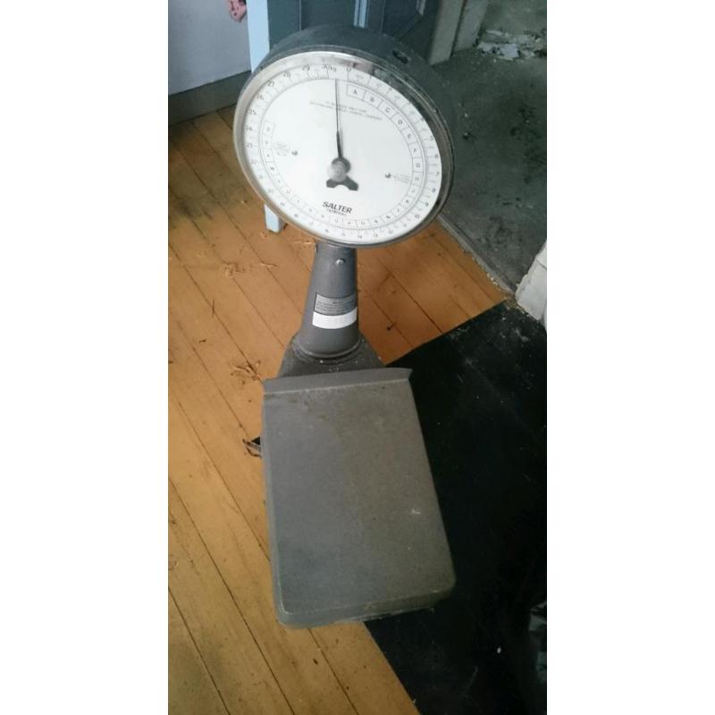 30kg salter scales