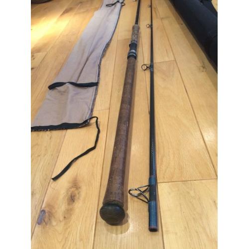 Daiwa Salmon Spinning Rod