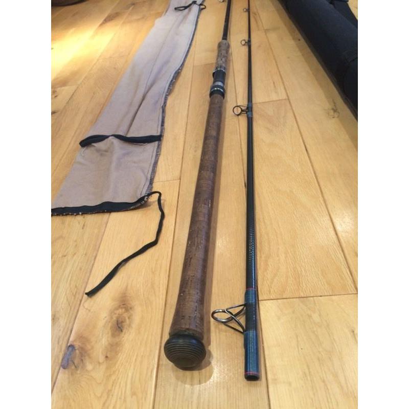Daiwa Salmon Spinning Rod