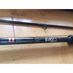Daiwa Salmon Spinning Rod