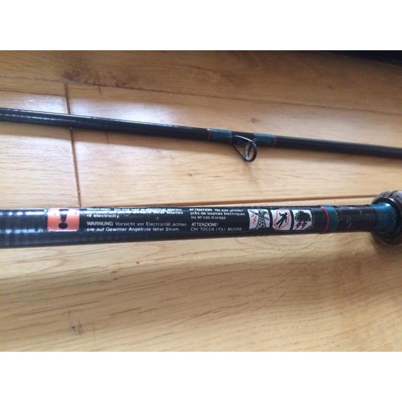 Daiwa Salmon Spinning Rod
