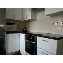 2 Large Bedrooms Available in Modren House
