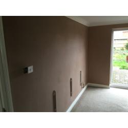 Friendly local plasterer - Free advice and quotes