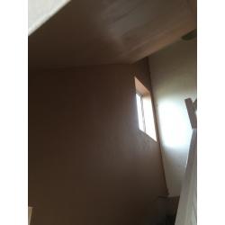 Friendly local plasterer - Free advice and quotes