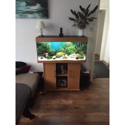JUWEL 180 Fish Tank