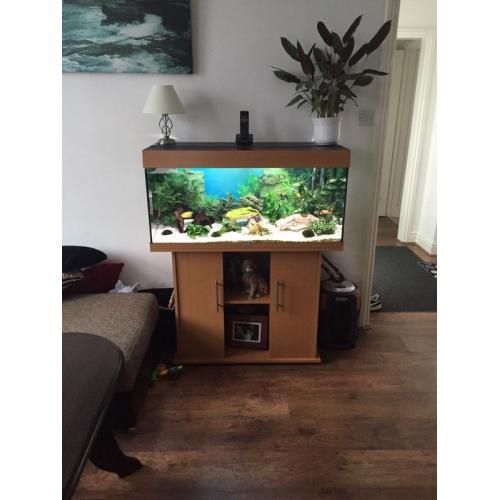 JUWEL 180 Fish Tank