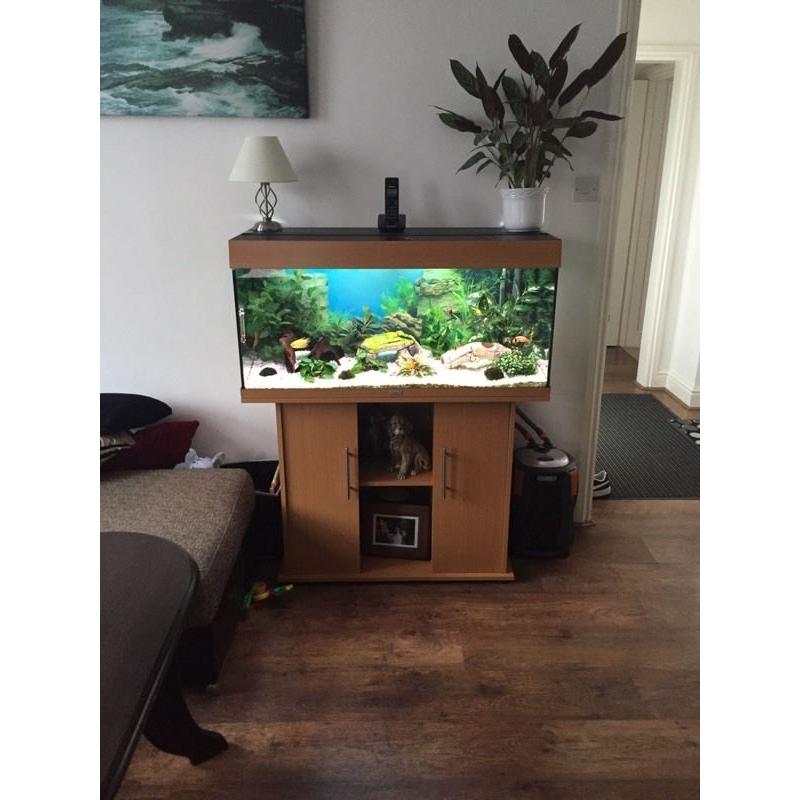 JUWEL 180 Fish Tank