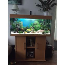 JUWEL 180 Fish Tank