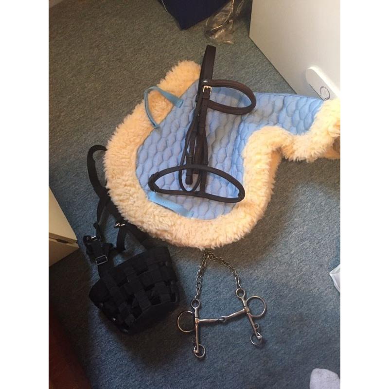Horse items