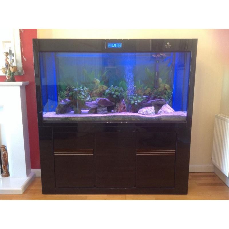 5ft (500Ltrs) High gloss black aquarium cabinet