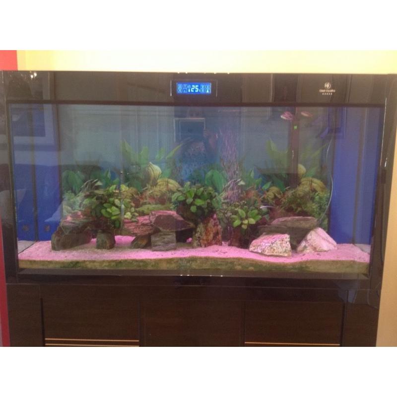 5ft (500Ltrs) High gloss black aquarium cabinet