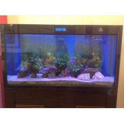 5ft (500Ltrs) High gloss black aquarium cabinet