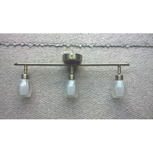 Metal Ceiling Light with 3 spot lights