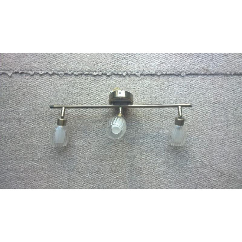 Metal Ceiling Light with 3 spot lights