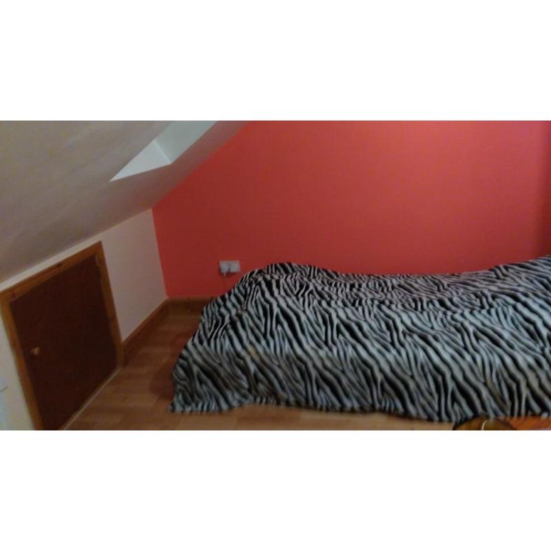 single room with 3 brand new bathrooms and new modern fitted kitchen 5 mints to plaistow canning tow
