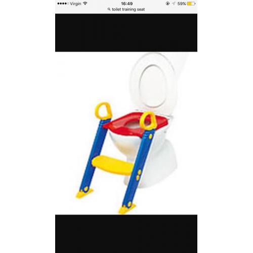 Toilet seat and step