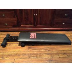 Pro Power Folding Sit Up Exercise Bench