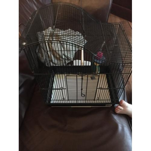 Bird cage