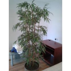 Large simulated bamboo plant