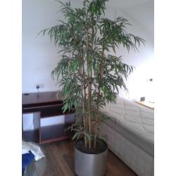 Large simulated bamboo plant